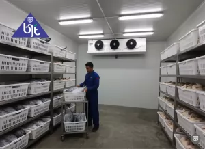 Dasar-dasar Cold Storage dan Gudang Pendingin